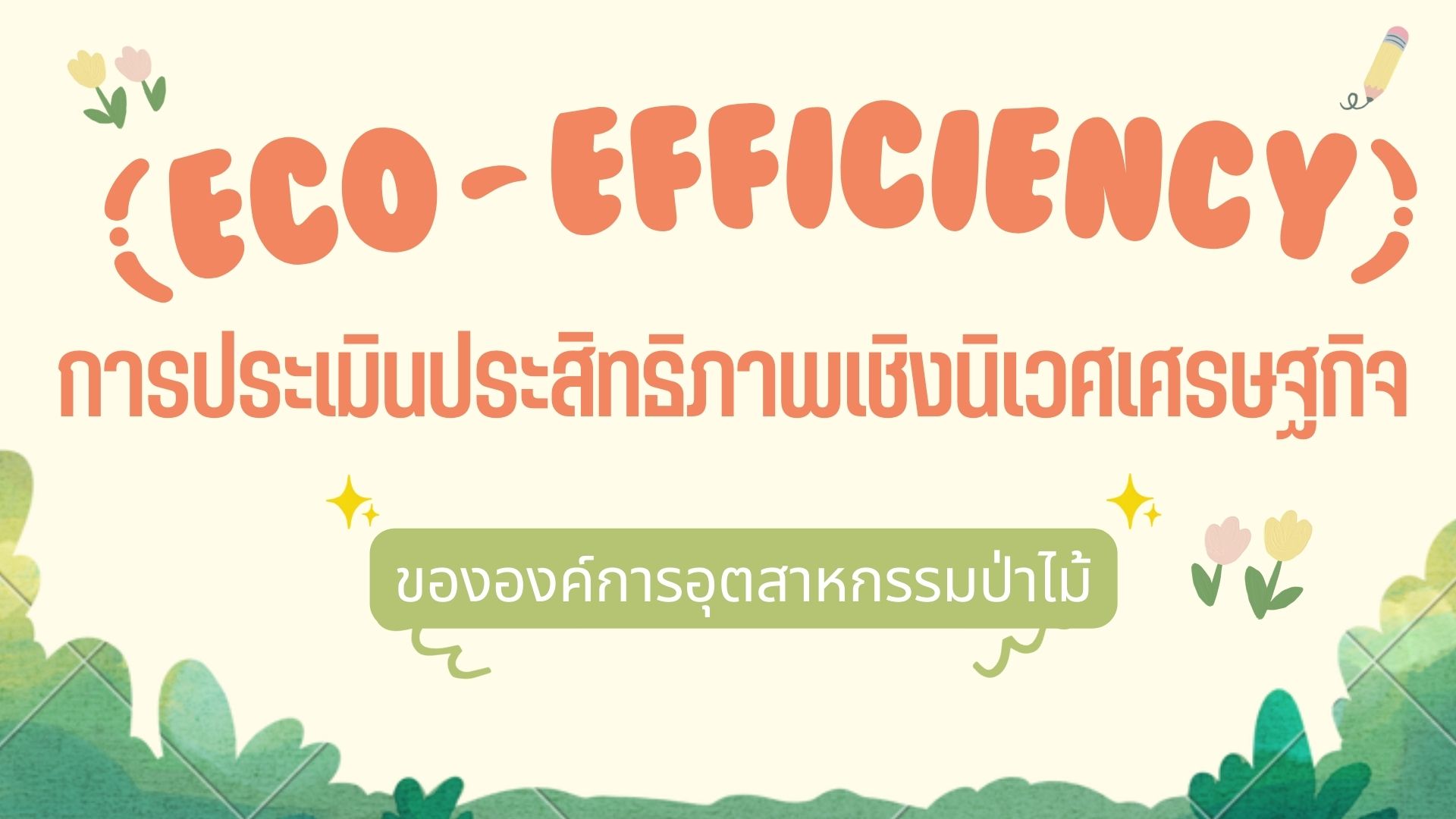 Eco-efficiency