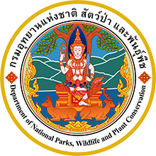 https://www.fio.co.th/upload/agif/pictures/pic-780921720.png