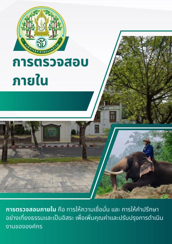 การตรวจสอบภายใน