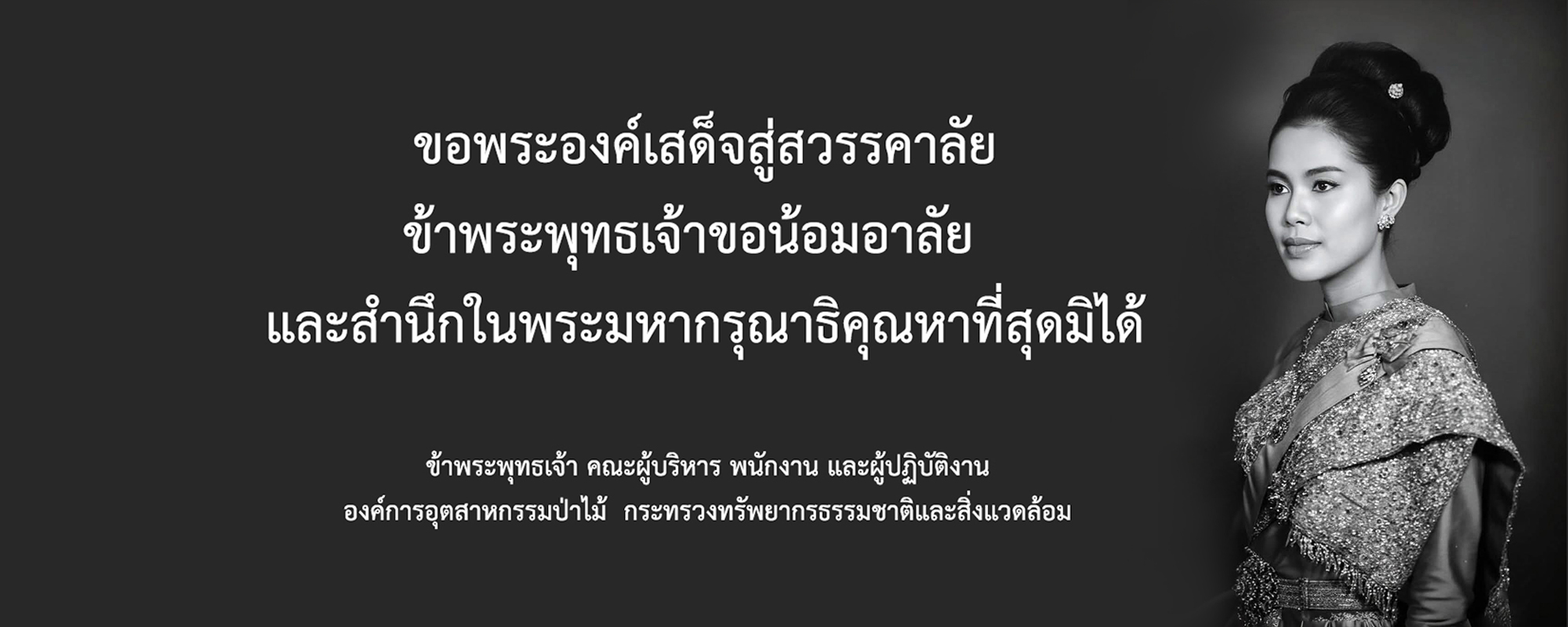 https://www.fio.co.th/upload/int/pictures/pic-Thai-16-202525101761362811762561480.jpg