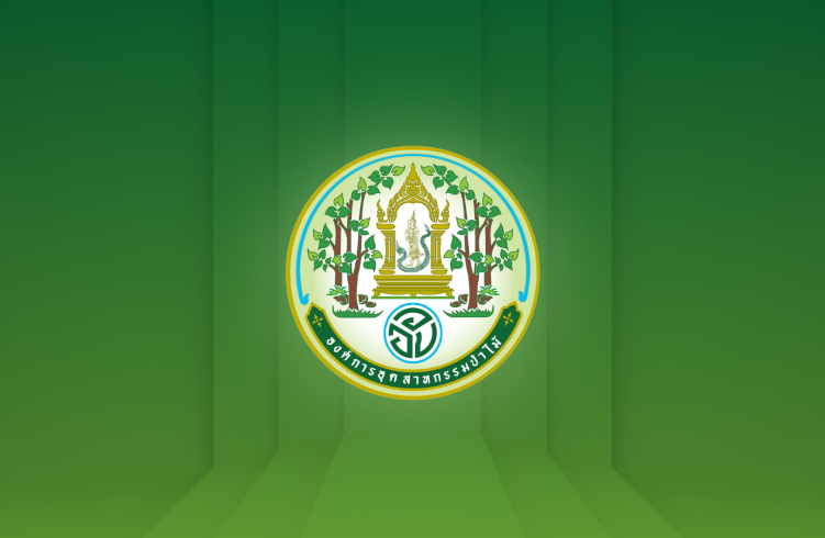 https://www.fio.co.th/upload/nopic/pictures/pic-1-202513021739419446324815973.png