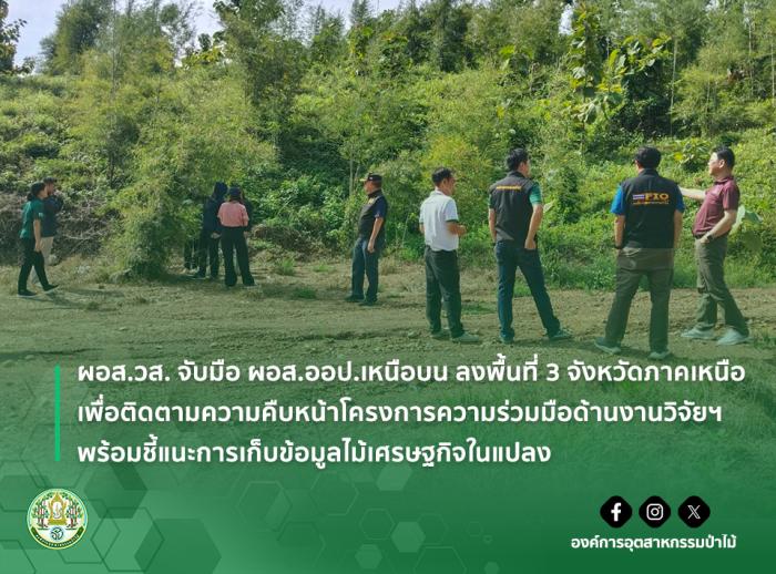 https://www.fio.co.th/upload/nw/pictures/pic-119460004.jpg