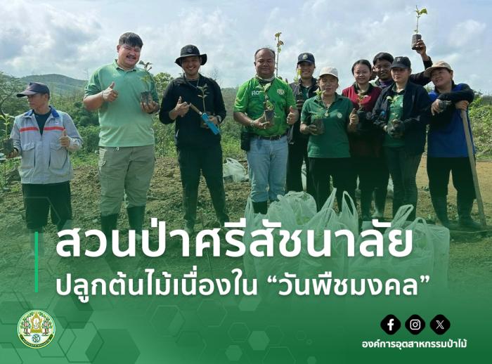 https://www.fio.co.th/upload/nw/pictures/pic-183313008.jpg