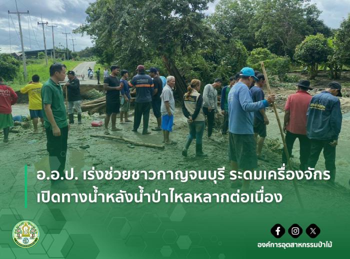 https://www.fio.co.th/upload/nw/pictures/pic-190572717.jpg