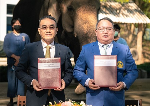 อ.อ.ป. MOU อสส. มุ่งพัฒนาองค์ความรู้ด้านงานวิชาการ - วิจัยสัตวแพทย์ ‘ช้างไทย’ ...