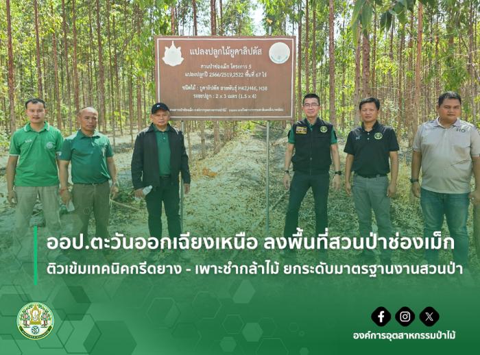 https://www.fio.co.th/upload/nw/pictures/pic-223882489.jpg