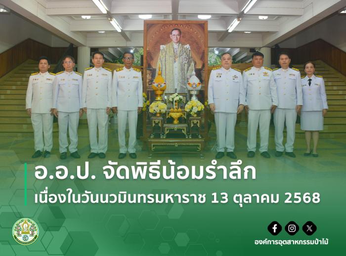 https://www.fio.co.th/upload/nw/pictures/pic-236204154.jpg