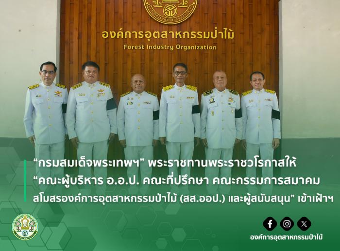 https://www.fio.co.th/upload/nw/pictures/pic-257625205.jpg