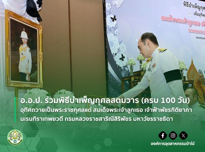 https://www.fio.co.th/upload/nw/pictures/pic-276039748.jpg