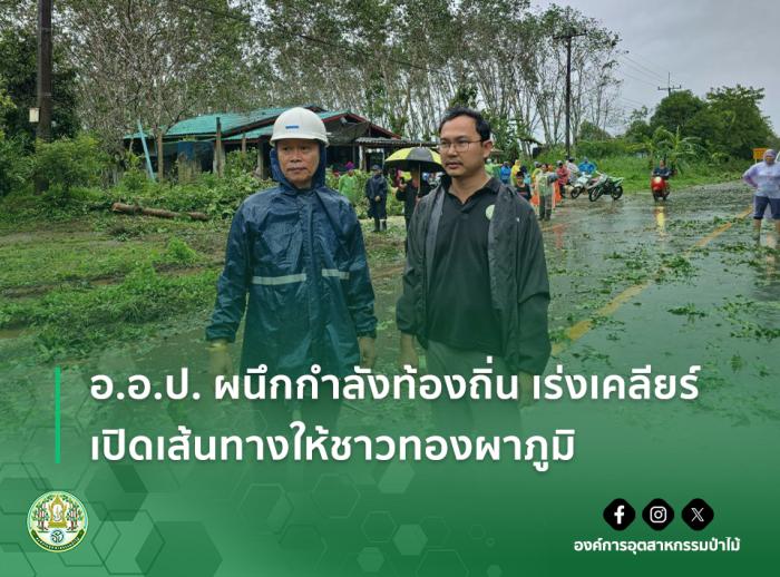 https://www.fio.co.th/upload/nw/pictures/pic-310210835.jpg