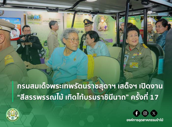 https://www.fio.co.th/upload/nw/pictures/pic-320226798.jpg