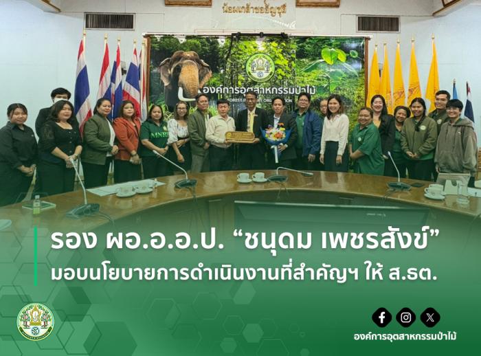 https://www.fio.co.th/upload/nw/pictures/pic-374683057.jpg
