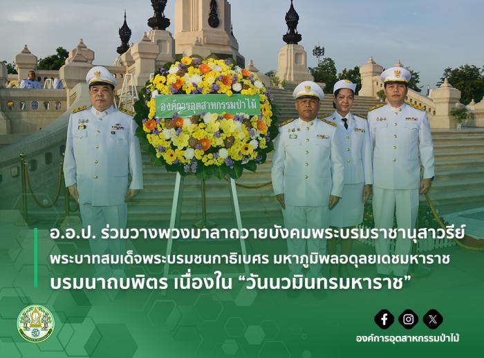 https://www.fio.co.th/upload/nw/pictures/pic-395198623.jpg