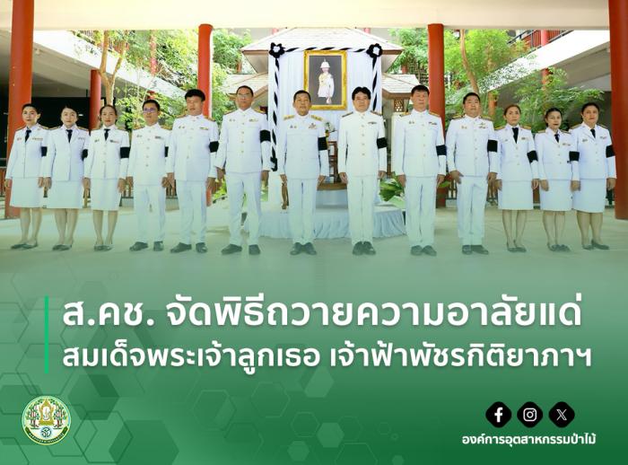 https://www.fio.co.th/upload/nw/pictures/pic-496661220.jpg