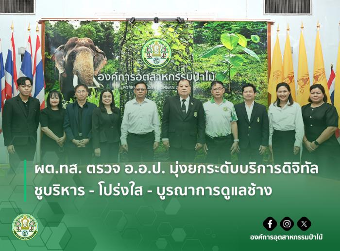 https://www.fio.co.th/upload/nw/pictures/pic-519031817.jpg