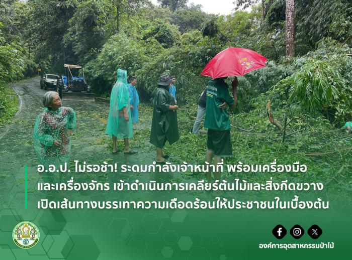https://www.fio.co.th/upload/nw/pictures/pic-536092956.jpg