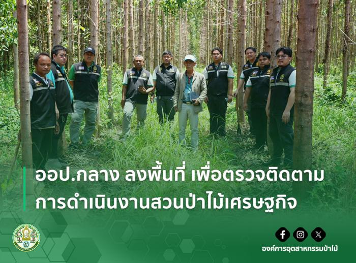 https://www.fio.co.th/upload/nw/pictures/pic-573613386.jpg