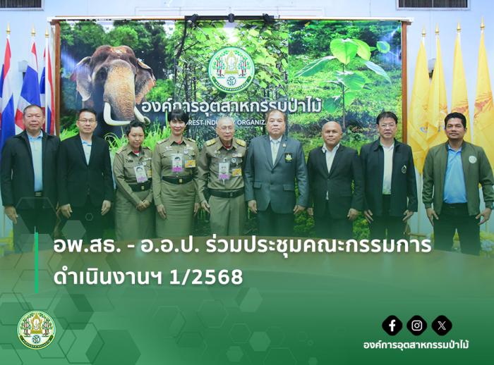 https://www.fio.co.th/upload/nw/pictures/pic-580899229.jpg