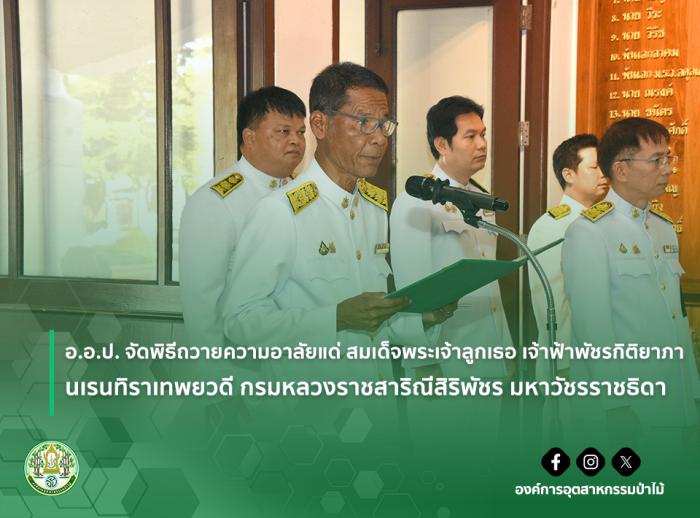 https://www.fio.co.th/upload/nw/pictures/pic-591523429.jpg
