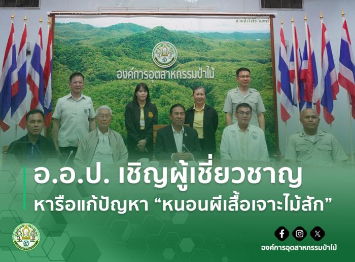 https://www.fio.co.th/upload/nw/pictures/pic-595302724.jpg