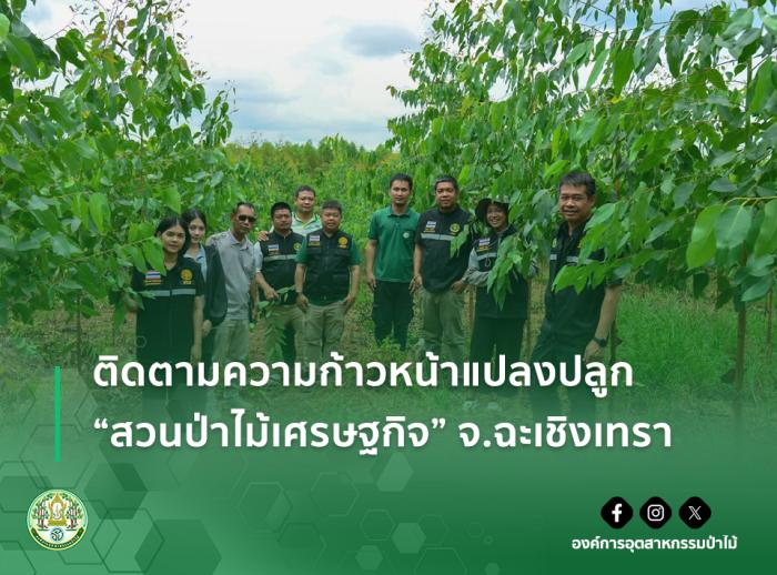 https://www.fio.co.th/upload/nw/pictures/pic-600737085.jpg
