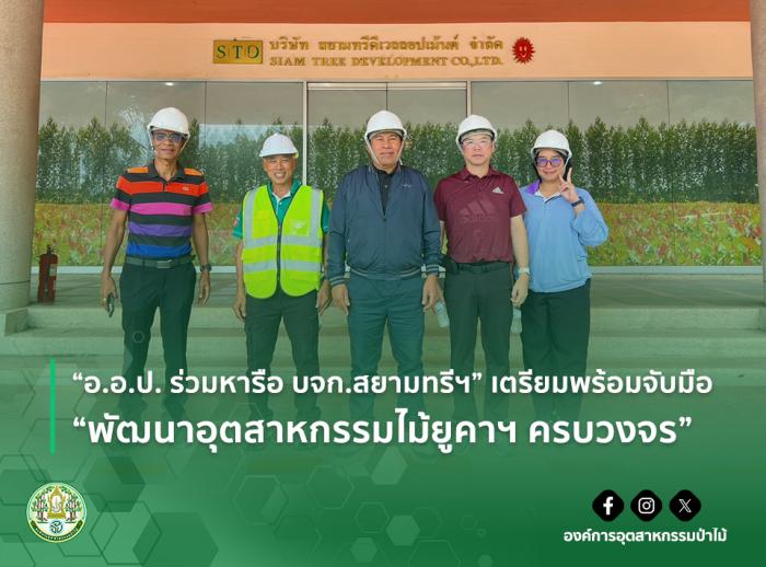 https://www.fio.co.th/upload/nw/pictures/pic-617049180.jpg
