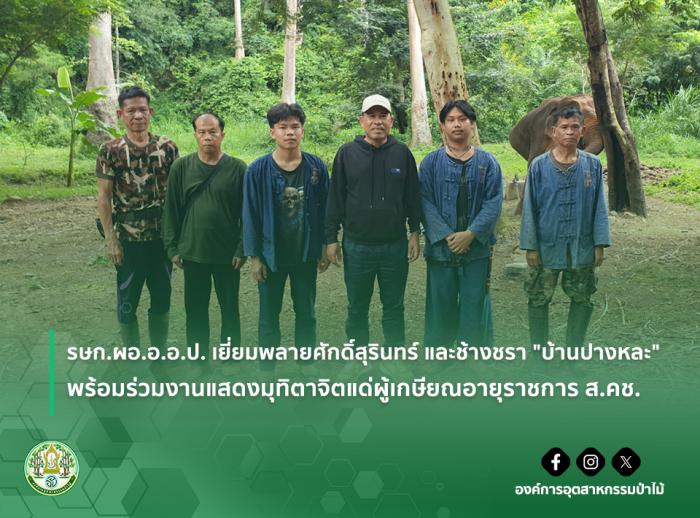 https://www.fio.co.th/upload/nw/pictures/pic-638339802.jpg