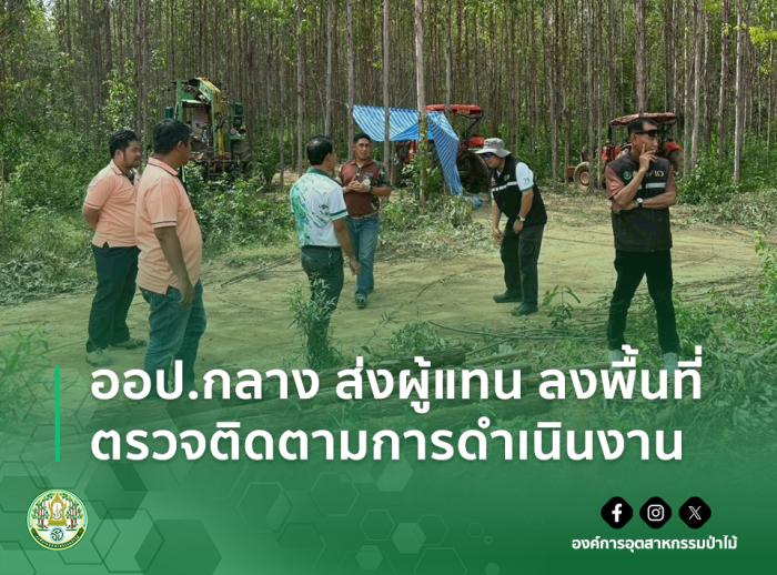 https://www.fio.co.th/upload/nw/pictures/pic-641397248.jpg