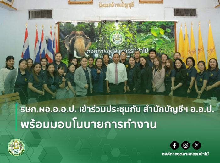 https://www.fio.co.th/upload/nw/pictures/pic-708651567.jpg