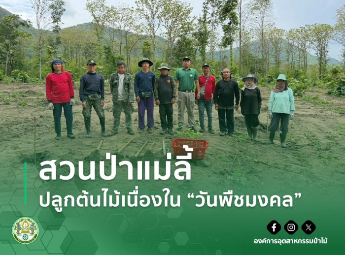 https://www.fio.co.th/upload/nw/pictures/pic-746480639.jpg