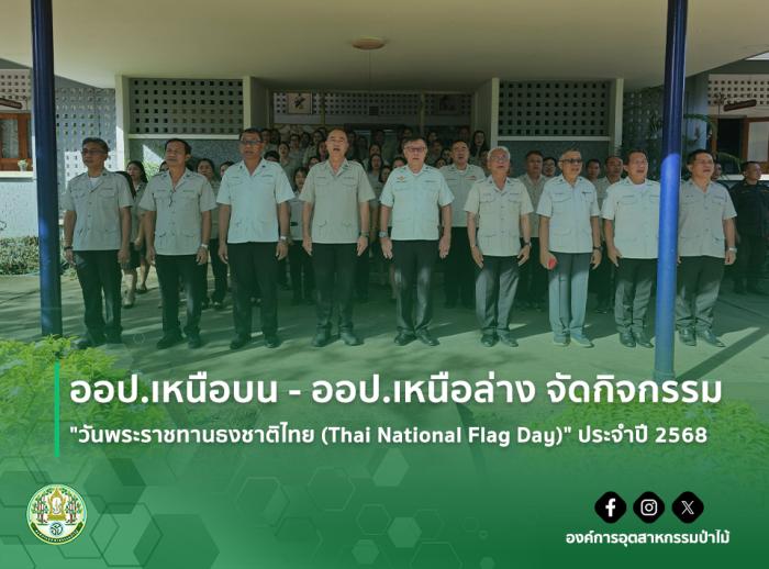 https://www.fio.co.th/upload/nw/pictures/pic-901793864.jpg