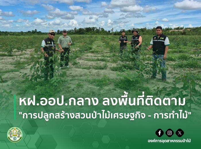 https://www.fio.co.th/upload/nw/pictures/pic-904745249.jpg