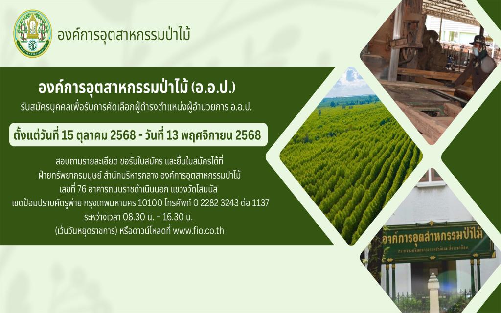 https://www.fio.co.th/upload/popup/pictures/pic-96-202516101760583669320509982.jpg